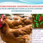 antibiothérapie en Aviculture -JSV