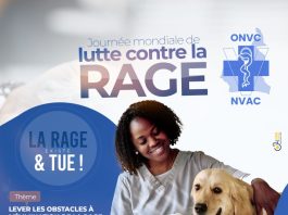 Lutte contre la Rage